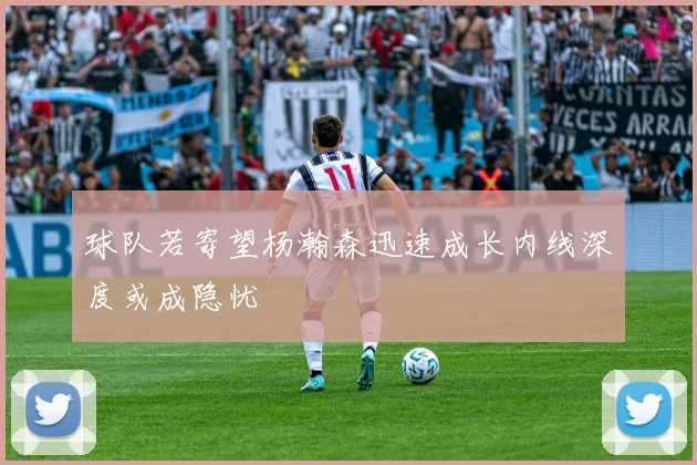 球队若寄望杨瀚森迅速成长内线深度或成隐忧