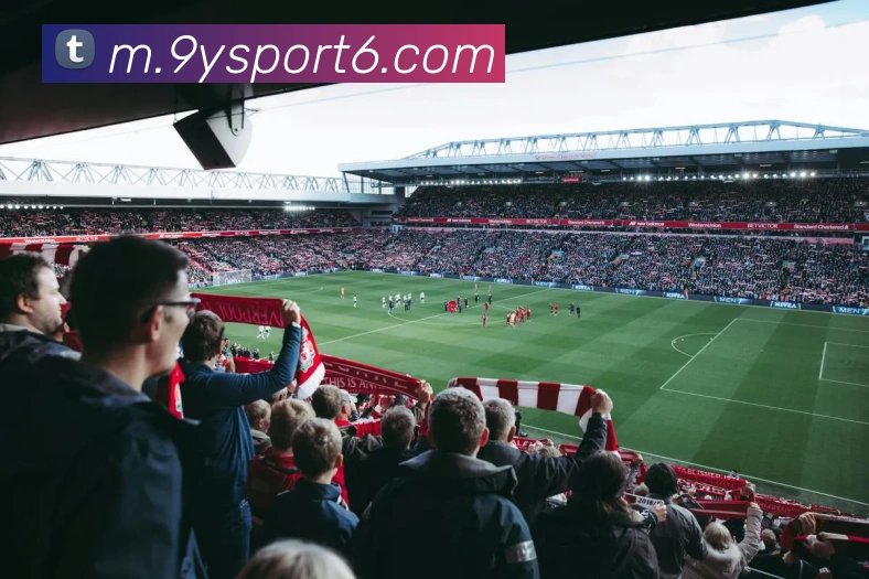 九游体育平台生态图