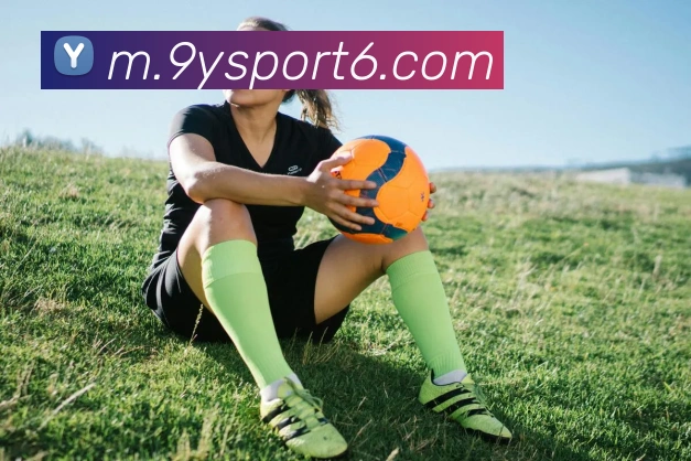 九游体育APP 封面图